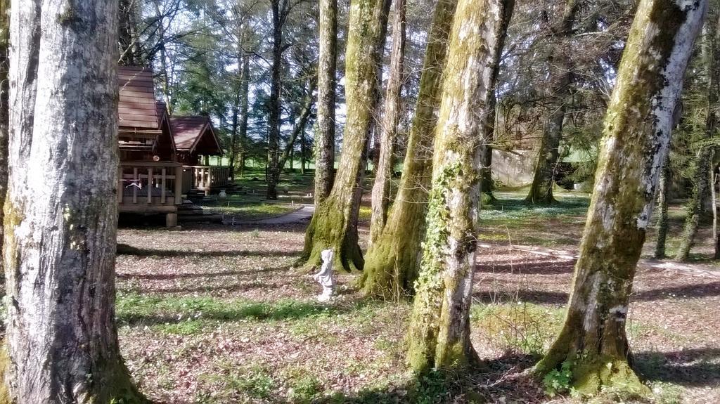 Chambres D'Hotes La Gargaille Alièze Kültér fotó