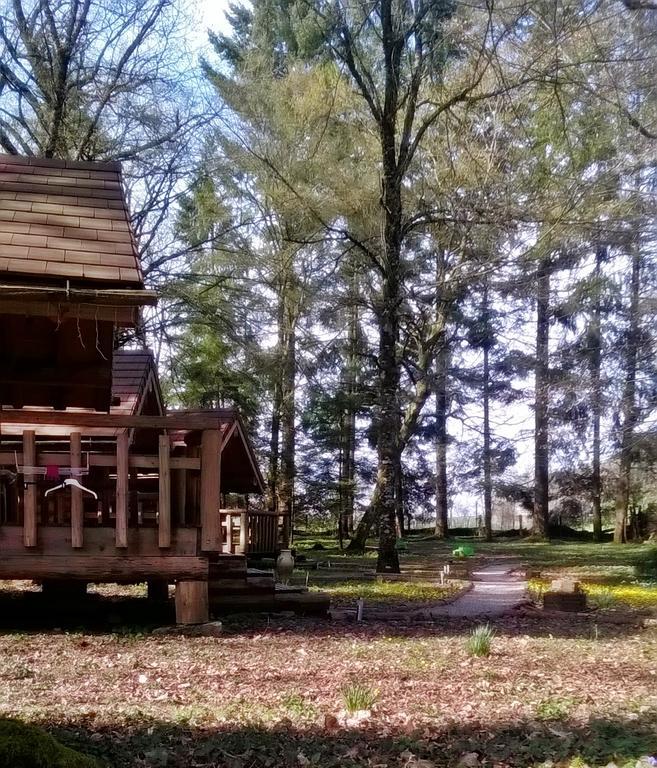 Chambres D'Hotes La Gargaille Alièze Kültér fotó