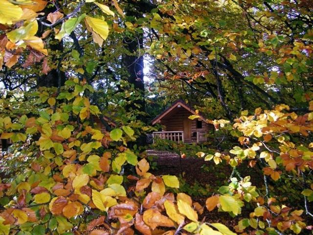 Chambres D'Hotes La Gargaille Alièze Szoba fotó