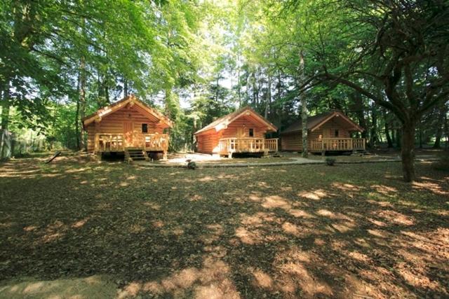 Chambres D'Hotes La Gargaille Alièze Kültér fotó