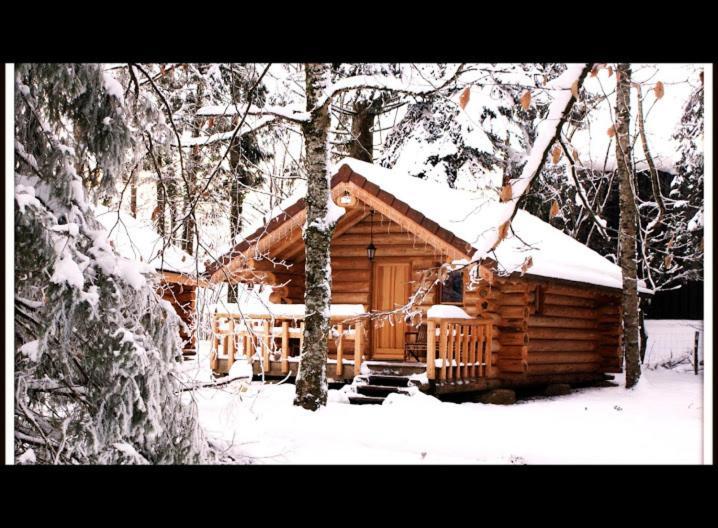 Chambres D'Hotes La Gargaille Alièze Kültér fotó